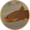 Trout-icon.png